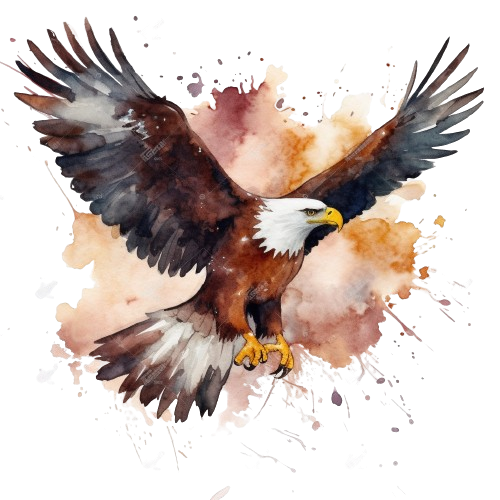Eagle Clipart, Bald Eagle, Wildlife, Animal illustration, Printable Watercolor Clipart, Watercolor Artwork