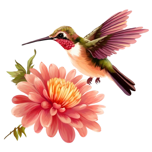 Hummingbird Watercolor Clipart, Flowers Clipart, Digital Design, Nature Scene