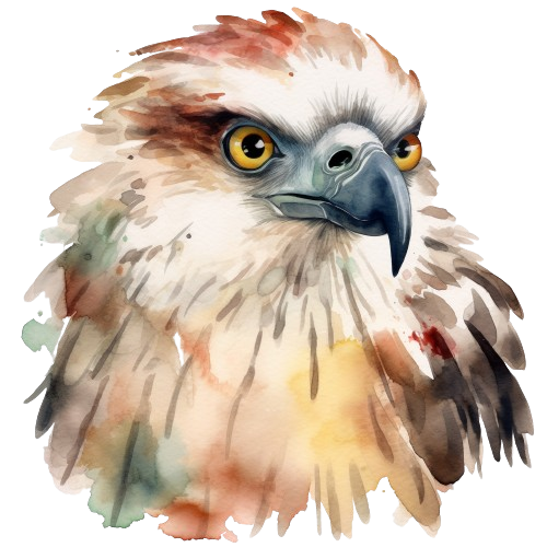 Digital Philippine Eagle, Clipart Imagen, Watercolor Artwork, Eagle Imagen, Printable Watercolor Clipart
