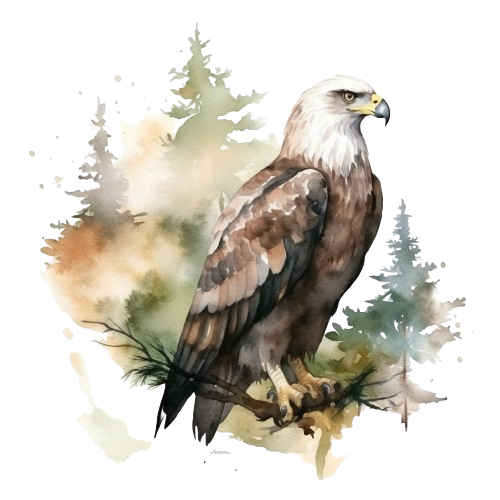 Eagle Clipart, Bald Eagle Watercolor Imagen, Digital Download, illustration Art, Wildlife