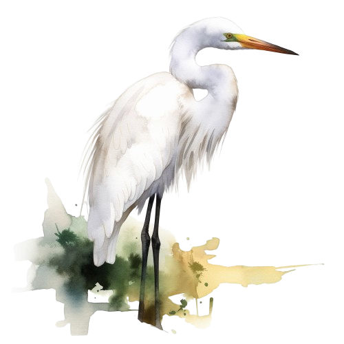 Egret Clipart, Watercolor Art, Digital Imagen, Painting, Card Craft
