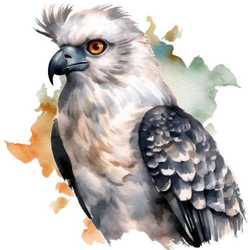 Harpy Eagle Clipart, Watercolor Imagen, Wildlife, Digital Download, Nature illustration, Digital Imagen