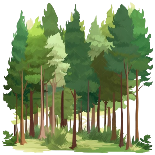 Forest Tree Clipart, Woodland Tree, Landscape Clipart, Nature Clipart