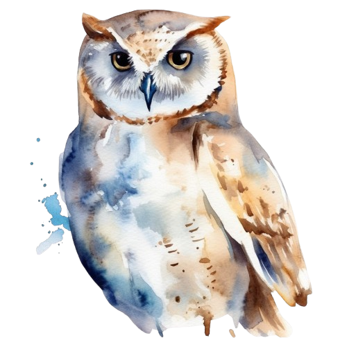 Colorful Owl Clipart, Watercolor Clipart,  Instant Download, Scrapbook Imagens